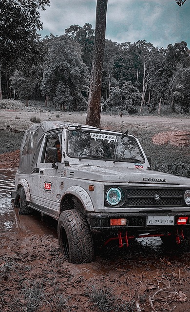 在一些漏洞 在一些漏洞