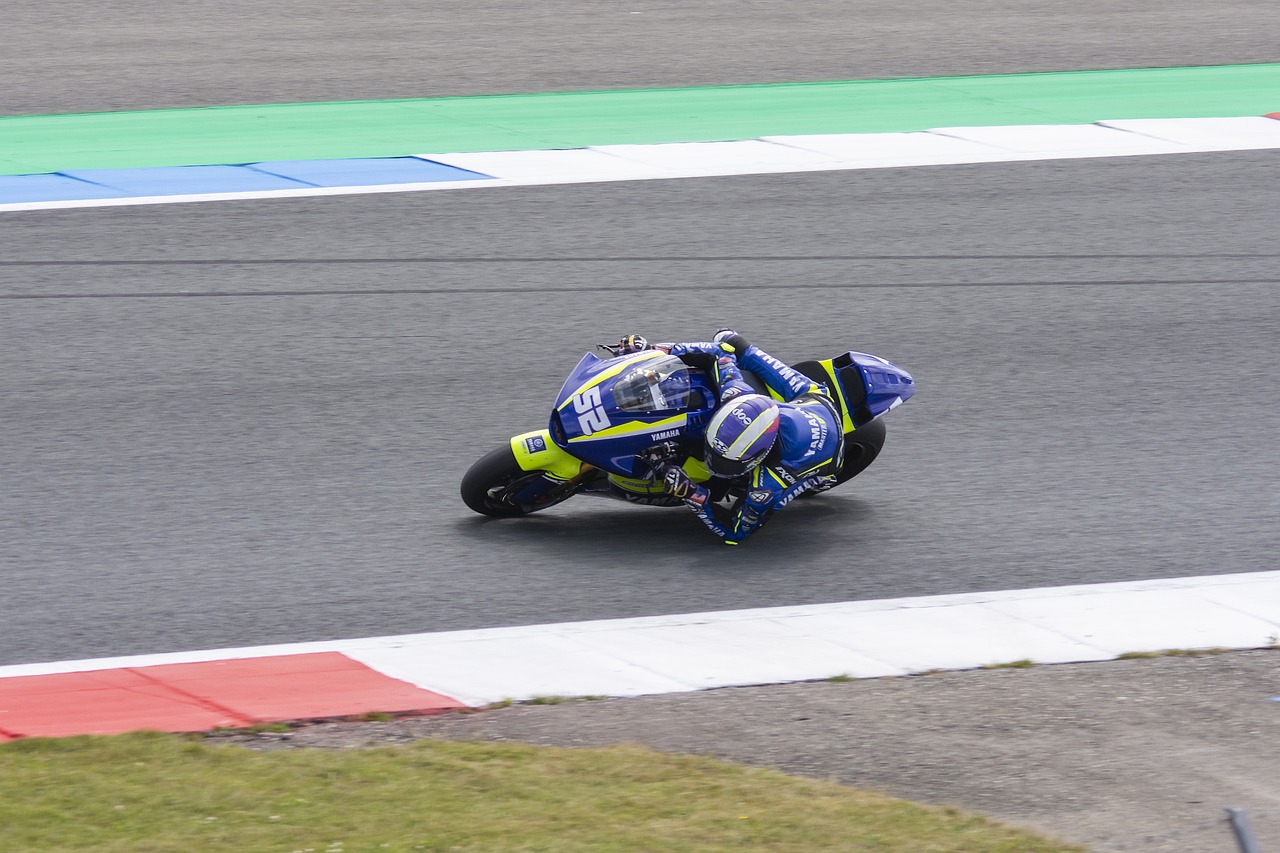 贸新增长 贸新增长