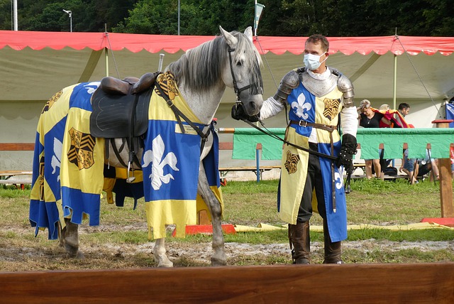 队文化的选 队文化的选