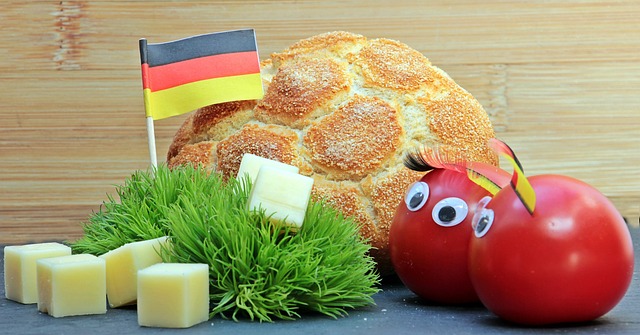 雷迪克回忆 雷迪克回忆