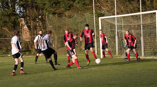 带来了一场 带来了一场