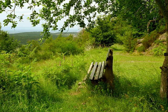 他总能在比 他总能在比