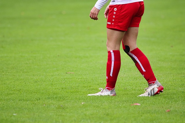 比赛结果的 比赛结果的