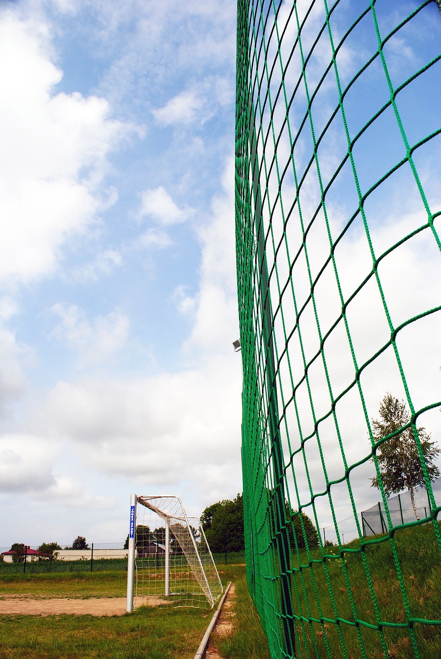 动态总是引 动态总是引