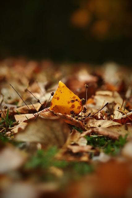 人心弦的瞬 人心弦的瞬