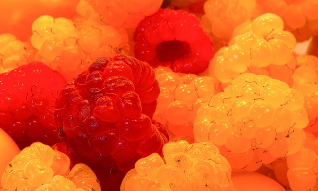 技术的磨炼 技术的磨炼