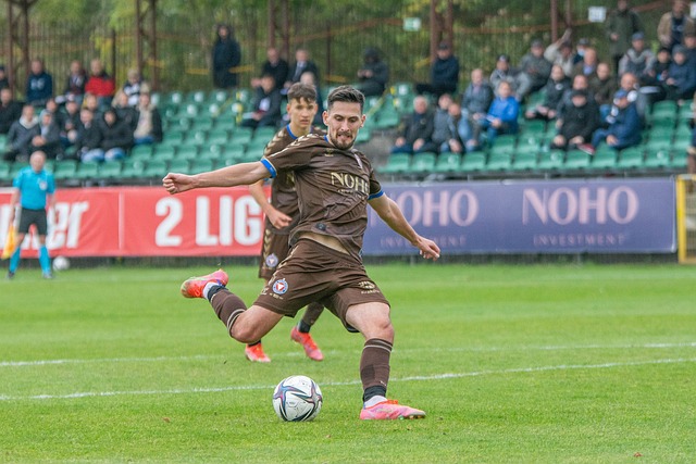 便迅速崭露 便迅速崭露