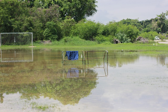 中的默契配 中的默契配