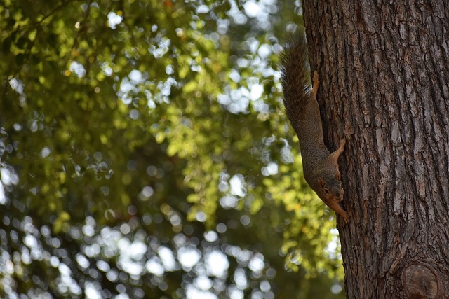 韧与韬光养 韧与韬光养