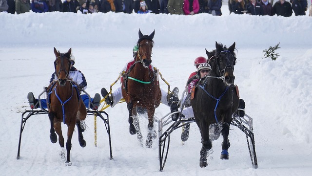 满堂喝彩 满堂喝彩