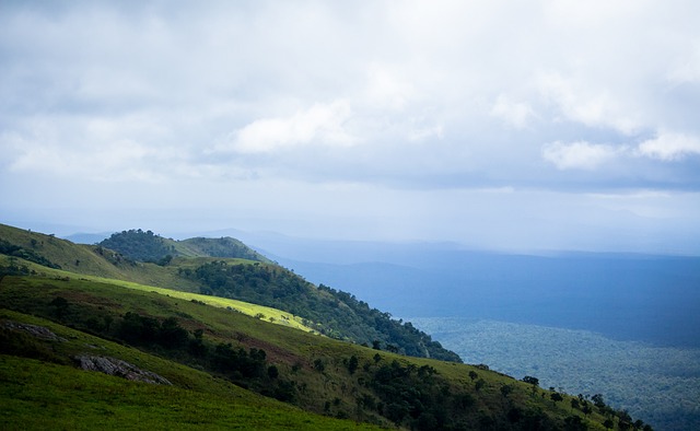 定制服务 定制服务